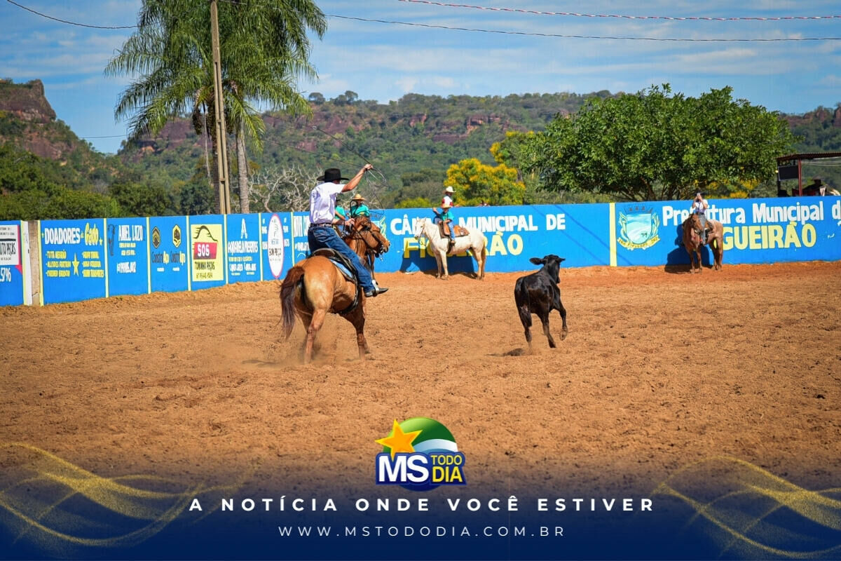 Imagem da Galeria